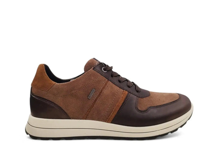 Ara - art. 24509 moro - Dutto calzature