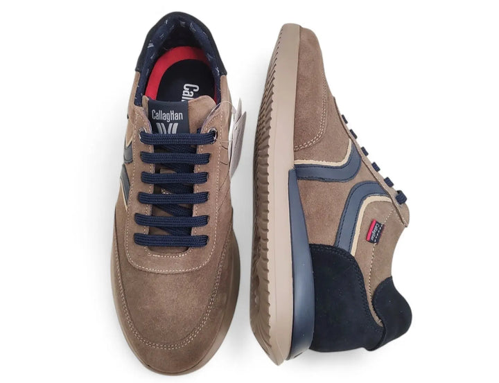 Callaghan - art. 51108 trufa - Dutto calzature