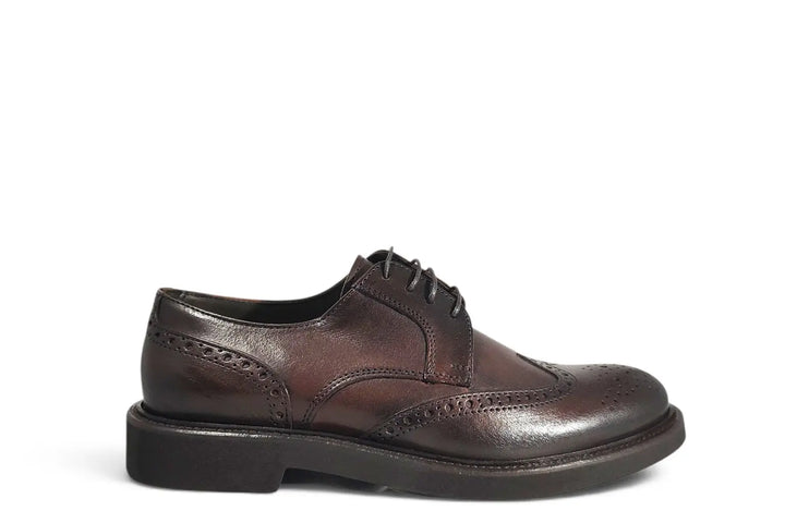 Allacciata Franco Fedele sacher - art. 2217