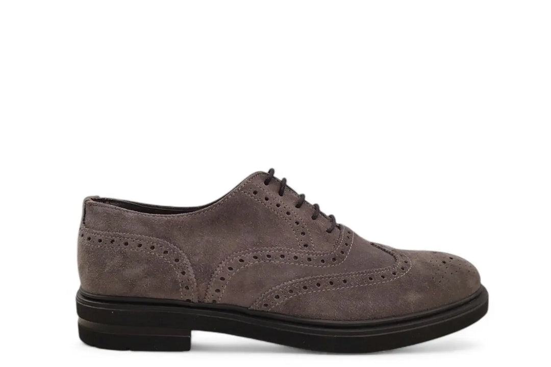 Franco Fedele - art. 884 lavagna - Dutto calzature