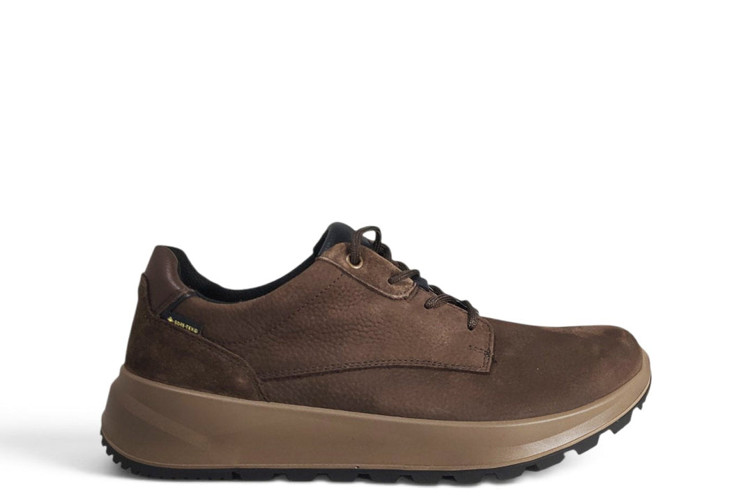 Allacciata Legero tortora - art. 509